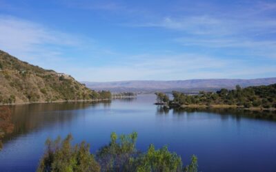 Botox en Córdoba: Criterio Clínico Antes que Tendencia